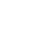 PicoQuant logo